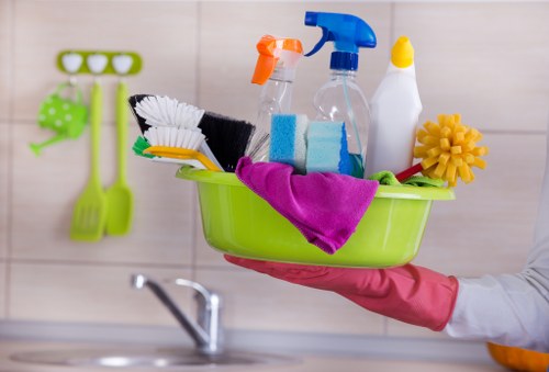 Detailed bathroom cleaning during a move-in service in Stjohnswood