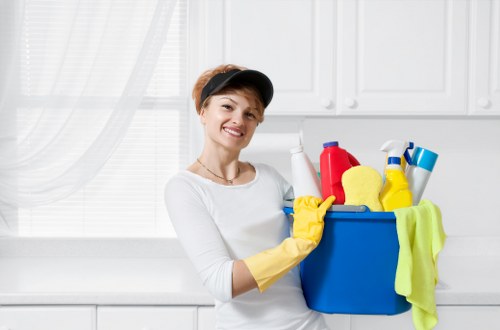 Regular cleaning for a St Johns Wood apartment interior