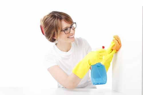Careful inspection and treatment of a rug before deep cleaning