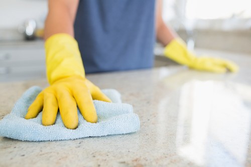 Professional removal of pet stains from upholstery and rugs