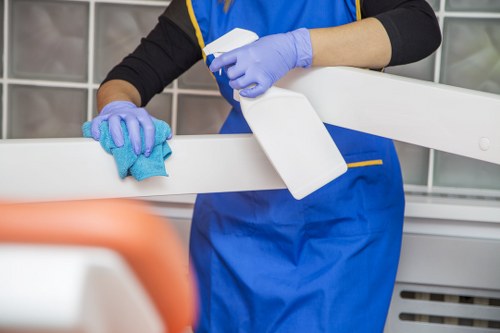 Deep cleaning oven shelves and interior surfaces in Stjohnswood
